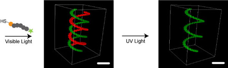 Photoreversible Patterning of Biomolecules within 3D Click Gels