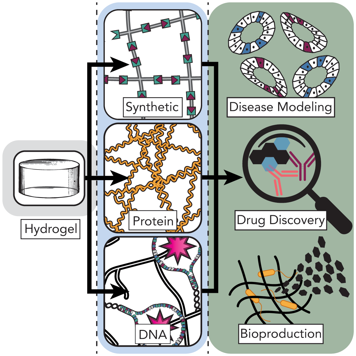 Chemical and Biological Engineering Strategies to Make and Modify Next-generation Hydrogel Biomaterials