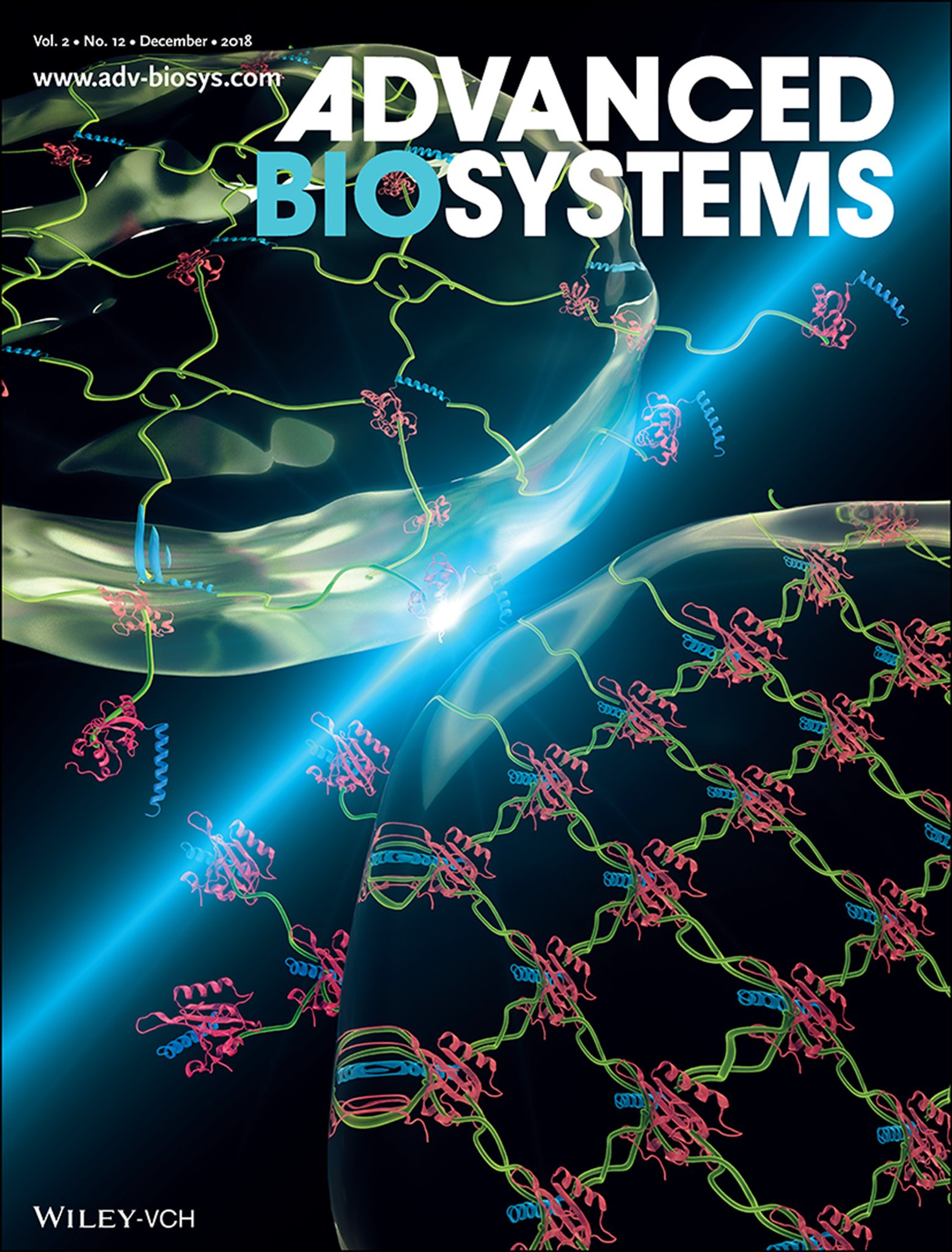 Liu 2018 Advanced Biosystems Cover