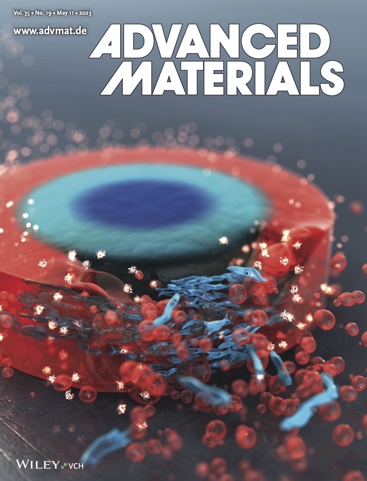 Bretherton 2023 Advanced Materials Cover