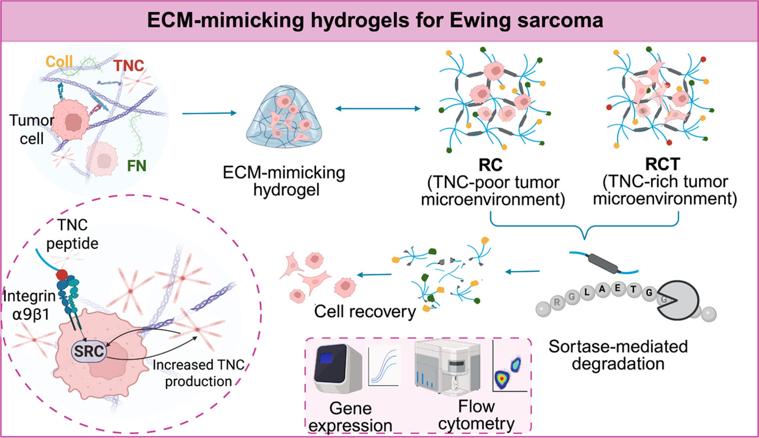 Modeling Tenascin-C-rich Metastatic Tumor Niches in Engineered Hydrogel Biomaterials